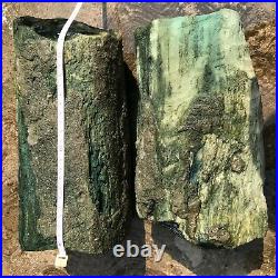 16Kg Indonesian Rare Petrified Wood Rough Mineral 2 pieces