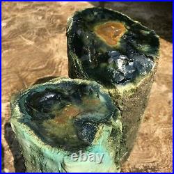 16Kg Indonesian Rare Petrified Wood Rough Mineral 2 pieces