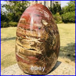 16LB Large Natural Petrified Wood Fossil Crystal Geode Specimens Stone Healing