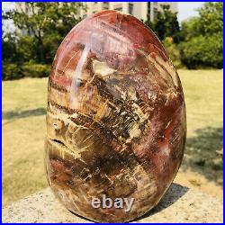 16LB Large Natural Petrified Wood Fossil Crystal Geode Specimens Stone Healing