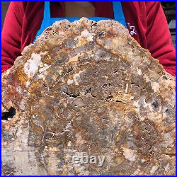 16.08LB Natural Petrified Wood Crystal Fossil Slice Shape Specimen Healing