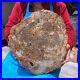 16_08LB_Natural_Petrified_Wood_Fossil_Crystal_Polished_Slice_Madagascar_01_gn