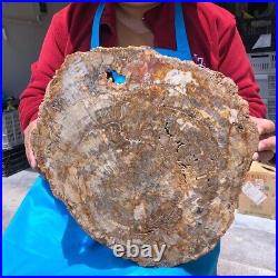 16.08LB Natural Petrified Wood Fossil Crystal Polished Slice Madagascar 1123