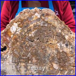 16.08LB Natural Petrified Wood Fossil Crystal Polished Slice Madagascar 1123