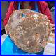 16_08LB_Natural_Petrified_Wood_Fossil_Crystal_Polished_Slice_Madagascar_662_01_klr