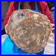 16_08LB_Natural_Petrified_Wood_Slice_Real_Authentic_Piece_History_Fossil_662_01_ny
