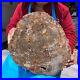 16_08LB_Natural_petrified_wood_fossil_crystal_polished_slice_Madagascar_1123_01_qi