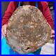 16_08LB_Natural_petrified_wood_fossil_crystal_polished_slice_Madagascar_1123_01_vb