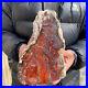 16_1lb_Rare_Natural_petrified_wood_rough_Wood_fossil_mineral_specimen_healing_01_dk
