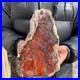 16_1lb_Rare_Natural_petrified_wood_rough_Wood_fossil_mineral_specimen_healing_01_qbg