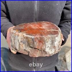 16.3lb Rare Natural petrified wood rough Wood fossil mineral specimen healing 16.3lb Rare Natural petrified wood rough Wood fossil mineral specimen healing