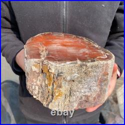 16.3lb Rare Natural petrified wood rough Wood fossil mineral specimen healing 16.3lb Rare Natural petrified wood rough Wood fossil mineral specimen healing