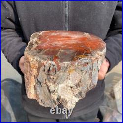 16.3lb Rare Natural petrified wood rough Wood fossil mineral specimen healing 16.3lb Rare Natural petrified wood rough Wood fossil mineral specimen healing