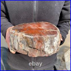 16.3lb Rare Natural petrified wood rough Wood fossil mineral specimen healing 16.3lb Rare Natural petrified wood rough Wood fossil mineral specimen healing