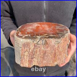 16.3lb Rare Natural petrified wood rough Wood fossil mineral specimen healing 16.3lb Rare Natural petrified wood rough Wood fossil mineral specimen healing