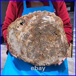 16.41LB Large Natural Petrified Wood Crystal Fossil Slice Shape Specimen Healing 16.41LB Large Natural Petrified Wood Crystal Fossil Slice Shape Specimen Healing