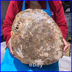 16.41LB Large Natural Petrified Wood Crystal Fossil Slice Shape Specimen Healing 16.41LB Large Natural Petrified Wood Crystal Fossil Slice Shape Specimen Healing