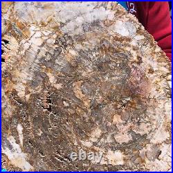 16.41LB Large Natural Petrified Wood Crystal Fossil Slice Shape Specimen Healing 16.41LB Large Natural Petrified Wood Crystal Fossil Slice Shape Specimen Healing