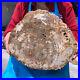 16_41LB_Natural_Petrified_Wood_Crystal_Fossil_Slice_Shape_Specimen_Healing_01_vf