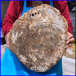 16.41LB Natural Petrified Wood Crystal Fossil Slice Shape Specimen Healing