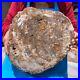 16_41LB_Natural_Petrified_Wood_Slice_Real_Authentic_Piece_History_Fossil_663_01_nws