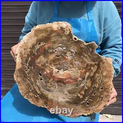 16.85LB Natural Petrified Wood Fossil Crystal Polished Slices Healing HH11