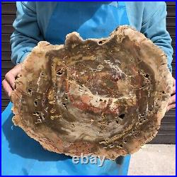 16.85LB Natural petrified wood fossil crystal polished slice Madagascar 11 16.85LB Natural petrified wood fossil crystal polished slice Madagascar 11