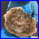 16_85LB_Natural_petrified_wood_fossil_crystal_polished_slice_Madagascar_11_01_hf