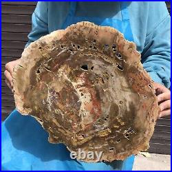 16.85LB Natural petrified wood fossil crystal polished slice Madagascar 11 16.85LB Natural petrified wood fossil crystal polished slice Madagascar 11