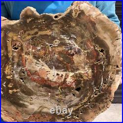 16.85LB Natural petrified wood fossil crystal polished slice Madagascar 11 16.85LB Natural petrified wood fossil crystal polished slice Madagascar 11