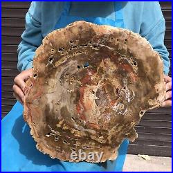 16.85LB Natural petrified wood fossil crystal polished slice Madagascar 11 16.85LB Natural petrified wood fossil crystal polished slice Madagascar 11