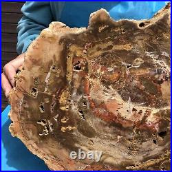 16.85LB Natural petrified wood fossil crystal polished slice Madagascar 11 16.85LB Natural petrified wood fossil crystal polished slice Madagascar 11