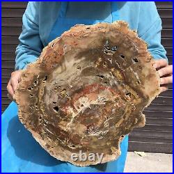 16.85LB Natural petrified wood fossil crystal polished slice Madagascar 11 16.85LB Natural petrified wood fossil crystal polished slice Madagascar 11