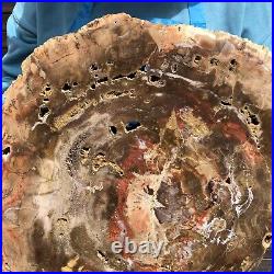 16.85LB Natural petrified wood fossil crystal polished slice Madagascar 11 16.85LB Natural petrified wood fossil crystal polished slice Madagascar 11