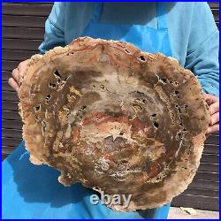 16.85LB Natural petrified wood fossil crystal polished slice Madagascar 11 16.85LB Natural petrified wood fossil crystal polished slice Madagascar 11