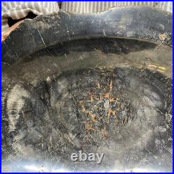 16.8lb Huge Black Petrified Wood Tan Bark Ashtray Dish Fossil Mineral Specimen