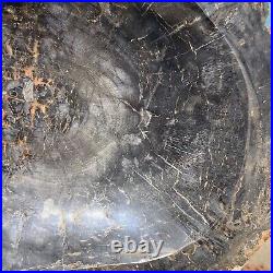16.8lb Huge Black Petrified Wood Tan Bark Ashtray Dish Fossil Mineral Specimen