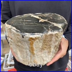 16.8lb Rare Natural petrified wood rough Wood fossil mineral specimen healing 16.8lb Rare Natural petrified wood rough Wood fossil mineral specimen healing