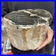 16_8lb_Rare_Natural_petrified_wood_rough_Wood_fossil_mineral_specimen_healing_01_vtnb