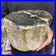 16_8lb_Rare_Natural_petrified_wood_rough_Wood_fossil_mineral_specimen_healing_01_xvm