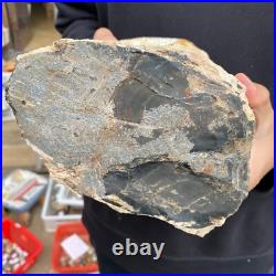 16.8lb Rare Natural petrified wood rough Wood fossil mineral specimen healing 16.8lb Rare Natural petrified wood rough Wood fossil mineral specimen healing