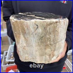 16.8lb Rare Natural petrified wood rough Wood fossil mineral specimen healing 16.8lb Rare Natural petrified wood rough Wood fossil mineral specimen healing