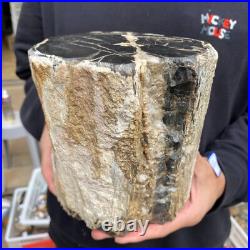 16.8lb Rare Natural petrified wood rough Wood fossil mineral specimen healing 16.8lb Rare Natural petrified wood rough Wood fossil mineral specimen healing