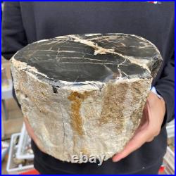16.8lb Rare Natural petrified wood rough Wood fossil mineral specimen healing 16.8lb Rare Natural petrified wood rough Wood fossil mineral specimen healing