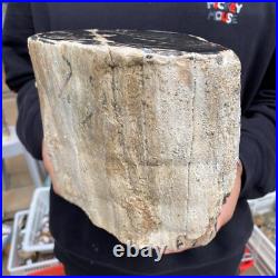 16.8lb Rare Natural petrified wood rough Wood fossil mineral specimen healing 16.8lb Rare Natural petrified wood rough Wood fossil mineral specimen healing
