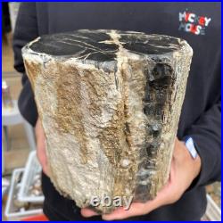 16.8lb Rare Natural petrified wood rough Wood fossil mineral specimen healing 16.8lb Rare Natural petrified wood rough Wood fossil mineral specimen healing