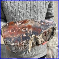 16.9lb Rare Natural petrified wood rough Wood fossil mineral specimen healing 16.9lb Rare Natural petrified wood rough Wood fossil mineral specimen healing
