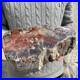 16_9lb_Rare_Natural_petrified_wood_rough_Wood_fossil_mineral_specimen_healing_01_rdo