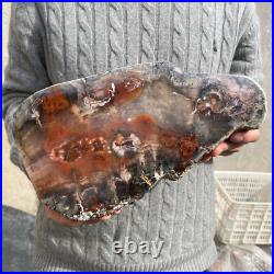 16.9lb Rare Natural petrified wood rough Wood fossil mineral specimen healing 16.9lb Rare Natural petrified wood rough Wood fossil mineral specimen healing