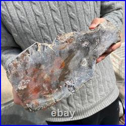 16.9lb Rare Natural petrified wood rough Wood fossil mineral specimen healing 16.9lb Rare Natural petrified wood rough Wood fossil mineral specimen healing